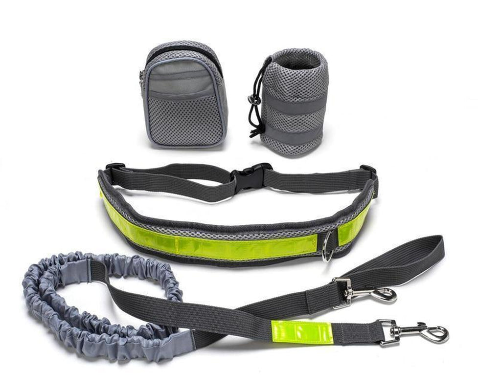 Hands-Free Pet Fitness Set: the Ultimate Companion for Active Dog Owners