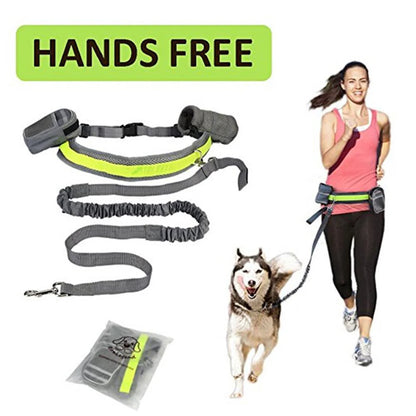 Hands-Free Pet Fitness Set: the Ultimate Companion for Active Dog Owners