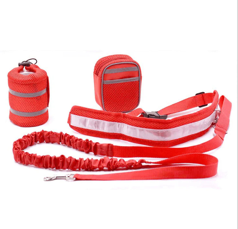 Hands-Free Pet Fitness Set: the Ultimate Companion for Active Dog Owners