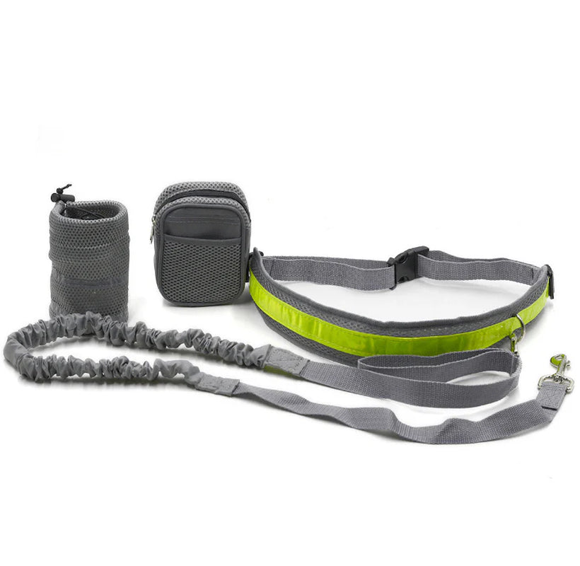 Hands-Free Pet Fitness Set: the Ultimate Companion for Active Dog Owners