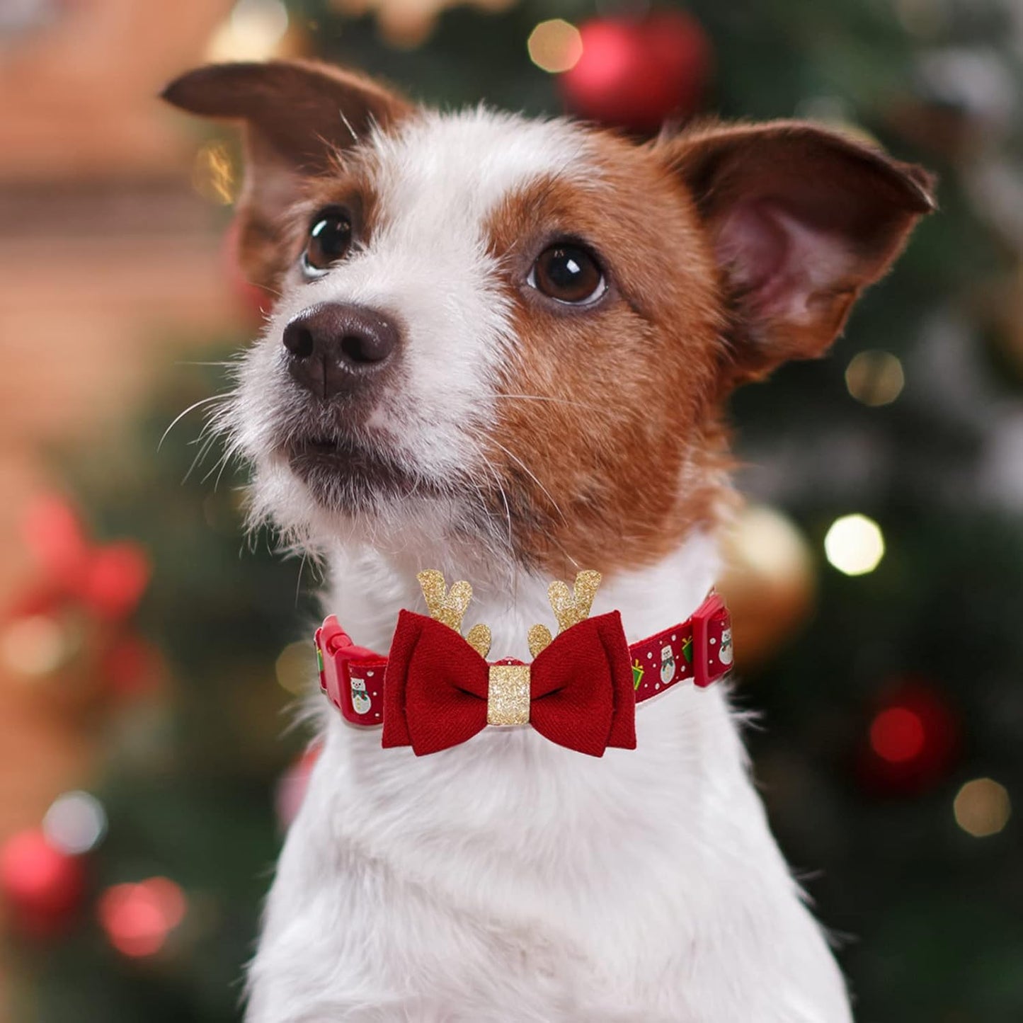 Adjustable Xmas Dog Collar with Christmas Antler for Medium Dogs